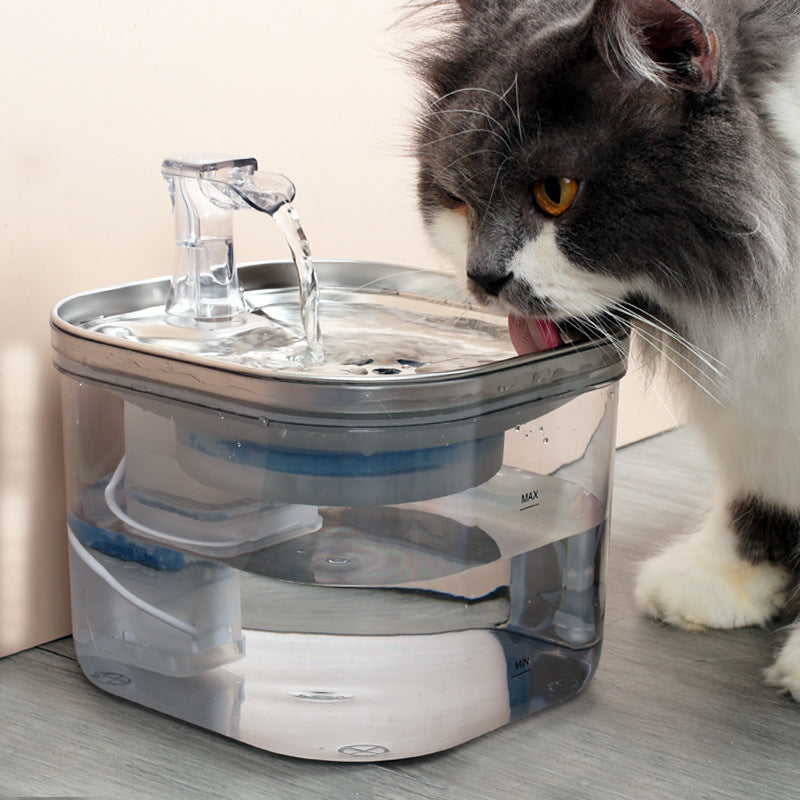 Black and white cat drinking from the Smart 2L Pet Water Fountain