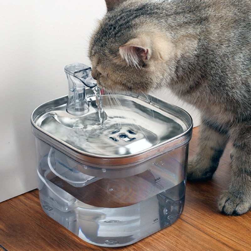 Gray tabby cat drinking from the Smart 2L Pet Water Fountain