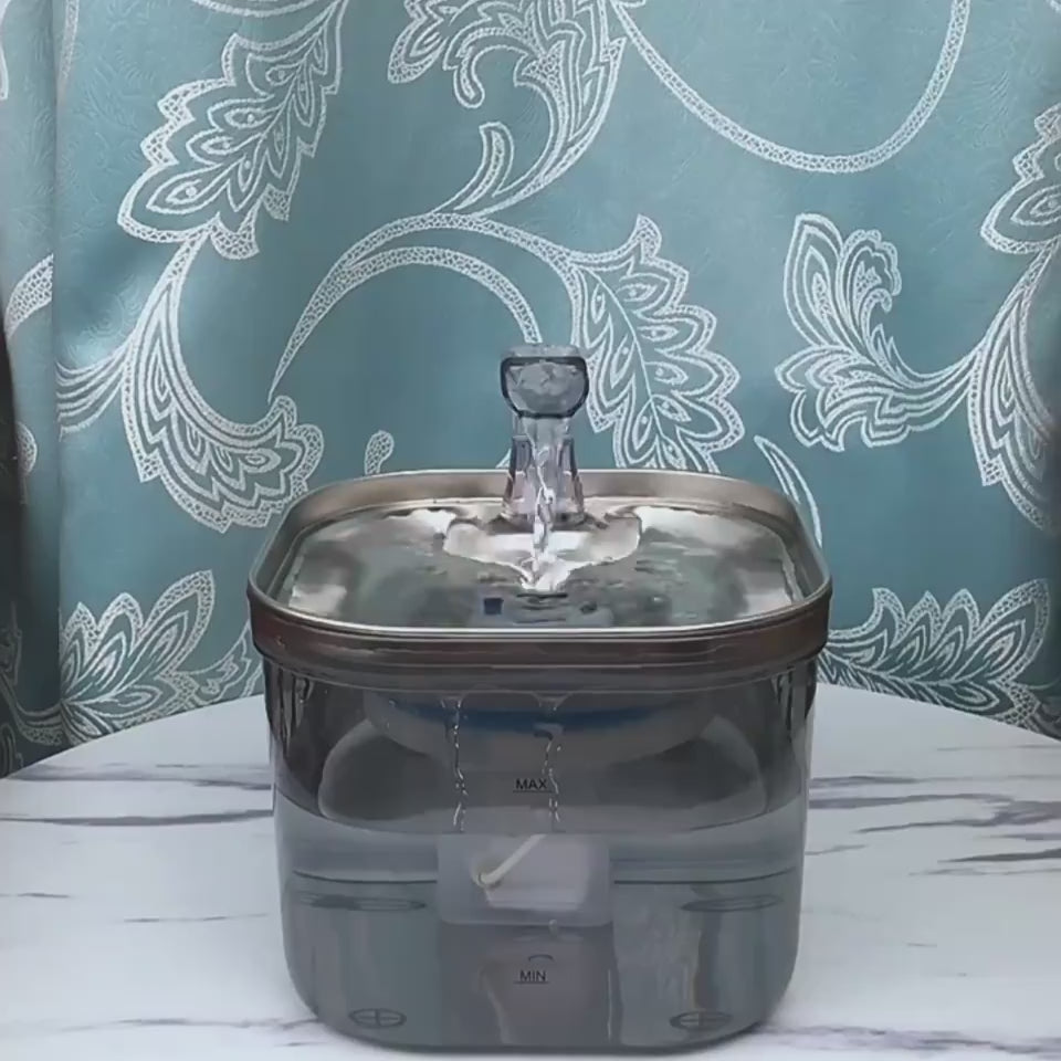 Smart 2L Pet Water Fountain running with circulating water