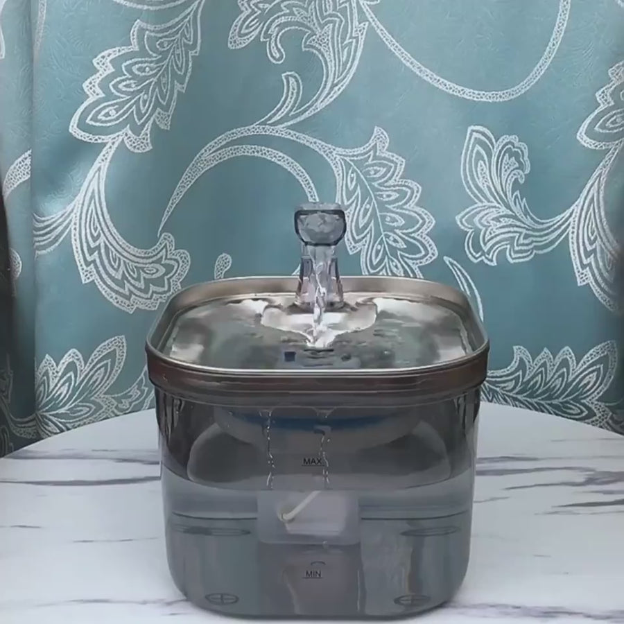 Smart 2L Pet Water Fountain running with circulating water